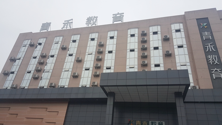案例 案例